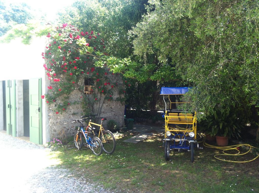 Corte Canale Virgilio Ξενοδοχείο Volta Mantovana Εξωτερικό φωτογραφία