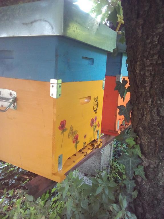 Corte Canale Virgilio Ξενοδοχείο Volta Mantovana Εξωτερικό φωτογραφία